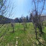 Satılır Torpaq, Novxanı, Abşeron rayonu 14