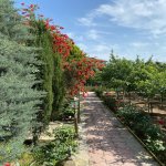 Kirayə (aylıq) 5 otaqlı Bağ evi, Mərdəkan, Xəzər rayonu 10