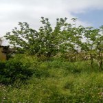 Satılır 2 otaqlı Bağ evi Xaçmaz 3
