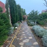 Kirayə (aylıq) 5 otaqlı Bağ evi, Mərdəkan, Xəzər rayonu 3