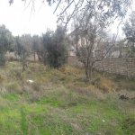 Satılır Torpaq, Zığ qəs., Suraxanı rayonu 3