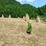 Satılır Torpaq Quba 4
