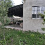 Kirayə (günlük) 3 otaqlı Həyət evi/villa Qusar 15