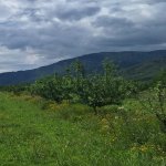 Продажа Участок Губа 3
