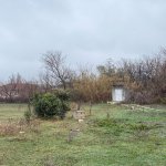 Satılır Torpaq Tərtər 10