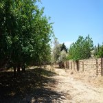 Satılır Torpaq, Goradil, Abşeron rayonu 8