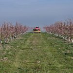 Продажа Участок Хачмаз 18