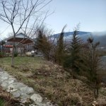 Kirayə (günlük) 3 otaqlı Həyət evi/villa İsmayıllı 7
