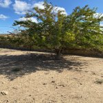 Satılır Torpaq, Bilgəh qəs., Sabunçu rayonu 10