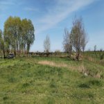 Продажа Участок Хачмаз 128