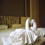 Kirayə (aylıq) 3 otaqlı Həyət evi/villa Qəbələ 2