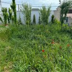 Satılır 6 otaqlı Həyət evi/villa, Koroğlu metrosu, Sabunçu rayonu 6