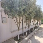 Satılır 4 otaqlı Həyət evi/villa, Koroğlu metrosu, Ramana qəs., Sabunçu rayonu 12