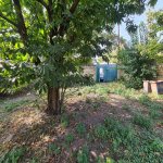 Satılır Torpaq Qəbələ 3