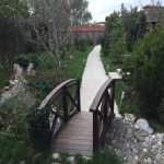 Kirayə (aylıq) 8 otaqlı Həyət evi/villa, Bilgəh qəs., Sea Breeze, Sabunçu rayonu 40