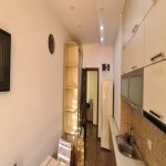 Kirayə (aylıq) 2 otaqlı Yeni Tikili, Nəsimi metrosu, 9-cu mikrorayon, Binəqədi rayonu 10