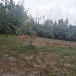 Satılır Torpaq Quba 2