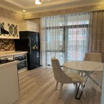 Kirayə (aylıq) 2 otaqlı Yeni Tikili, Nəriman Nərimanov metrosu, Nərimanov rayonu 1