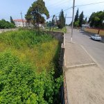 Продажа Участок Ленкорань 5