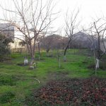 Satılır Torpaq Sumqayıt 14