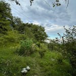 Satılır 3 otaqlı Həyət evi/villa İsmayıllı 15