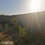 Satılır 4 otaqlı Bağ evi, Bilgəh qəs., Sabunçu rayonu 6