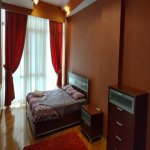 Kirayə (günlük) 3 otaqlı Yeni Tikili, 28 May metrosu, 28 Mall, Nəsimi rayonu 6