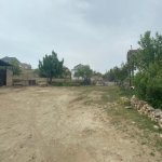 Satılır Torpaq, Novxanı, Abşeron rayonu 6