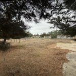 Satılır Torpaq, Şüvəlan, Xəzər rayonu 4