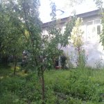 Kirayə (günlük) 4 otaqlı Bağ evi Şəki 25