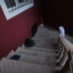 Satılır 3 otaqlı Həyət evi/villa, Azadlıq metrosu, Binəqədi qəs., Binəqədi rayonu 2
