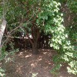 Satılır 4 otaqlı Həyət evi/villa Sumqayıt 4