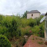 Satılır 4 otaqlı Həyət evi/villa Şamaxı 10