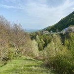 Satılır 3 otaqlı Həyət evi/villa İsmayıllı 33