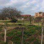 Satılır Torpaq, Fatmayi, Abşeron rayonu 4