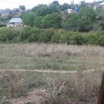 Satılır Torpaq Şamaxı 3