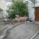 Satılır Torpaq, Memar Əcəmi metrosu, Binəqədi rayonu 12