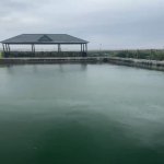 Продажа Участок, Новханы, Абшерон район 3