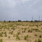 Satılır Torpaq, Zabrat qəs., Sabunçu rayonu 4