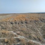 Satılır Torpaq Göyçay 2