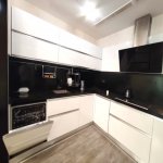 Аренда 2 комнатная Новостройка, м. 28 Мая метро, Порт Баку, Насими район 10