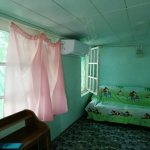 Kirayə (günlük) 2 otaqlı Bağ evi, Pirşağı qəs., Sabunçu rayonu 8