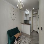 Kirayə (aylıq) 2 otaqlı Yeni Tikili, 20 Yanvar metrosu, Yasamal qəs., Yasamal rayonu 1