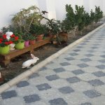 Satılır 5 otaqlı Bağ evi, Saray, Abşeron rayonu 1