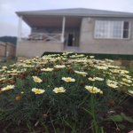 Kirayə (günlük) 3 otaqlı Bağ evi Quba 3
