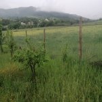 Satılır 3 otaqlı Həyət evi/villa İsmayıllı 8