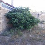 Satılır 6 otaqlı Bağ evi, Hövsan qəs., Suraxanı rayonu 5