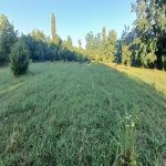 Satılır Torpaq Qəbələ 3