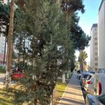 Satılır 2 otaqlı Yeni Tikili Xırdalan 1