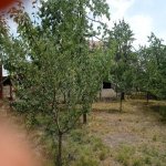 Kirayə (günlük) 4 otaqlı Bağ evi Quba 16